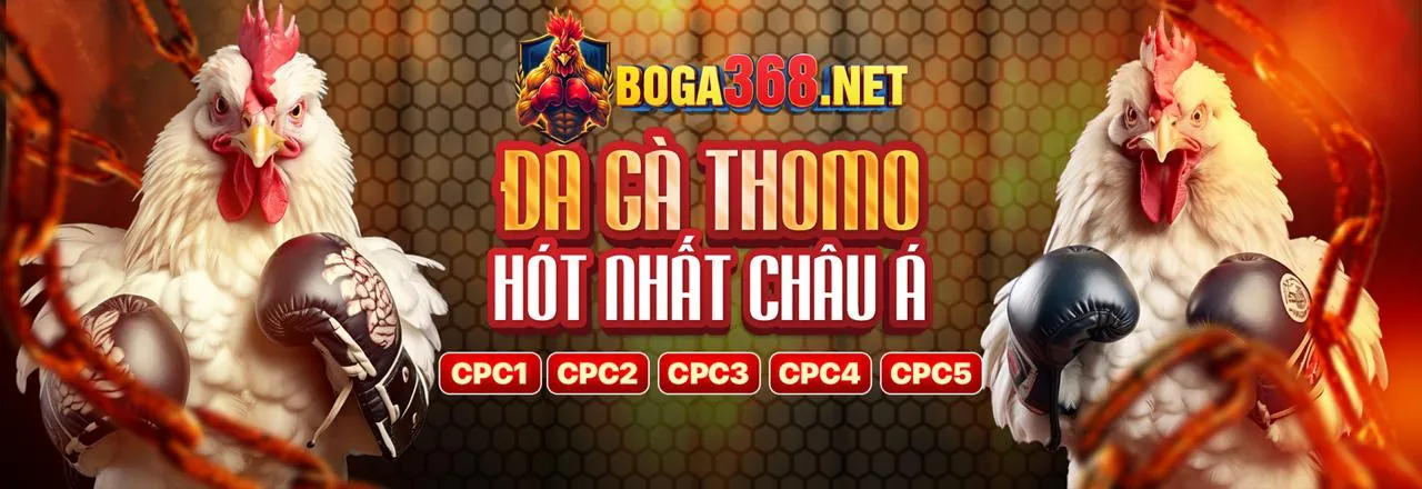 Đá gà trực tuyến hấp dẫn tại banca30