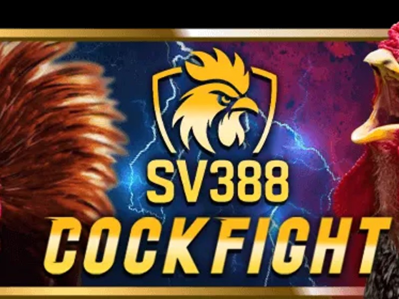 Hình ảnh một người đàn ông đang phân tích bảng tỷ lệ cược đá gà trên máy tính, thể hiện sự nghiên cứu và áp dụng chiến lược cá cược hiệu quả.