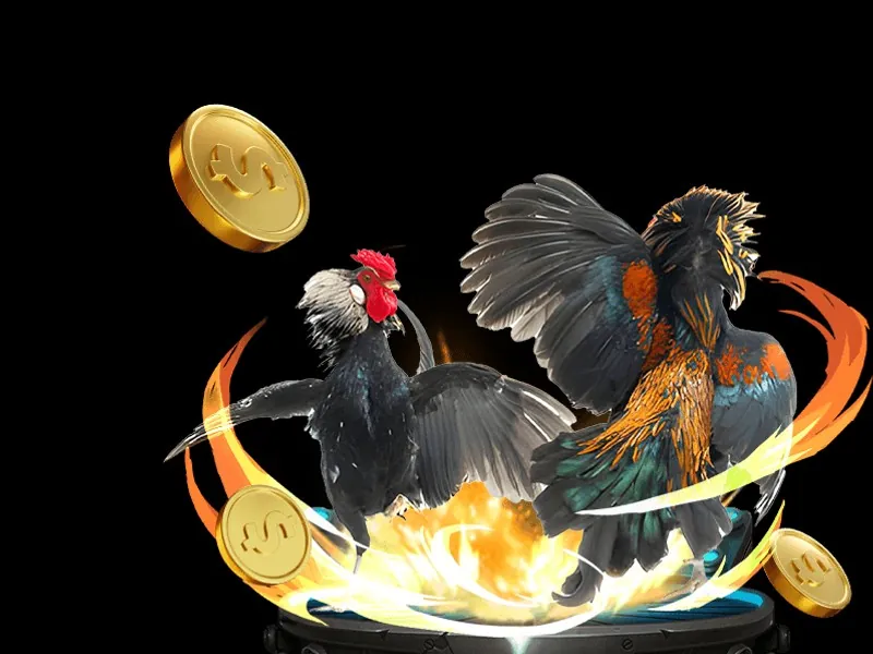 Đá gà trực tuyến kịch tính tại Banca30