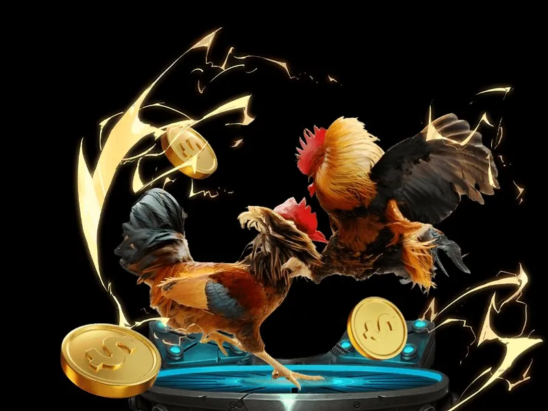 Đá gà trực tuyến kịch tính tại banca30